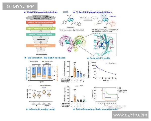 南京极限运动队的包夹战术与团队协作研究分析